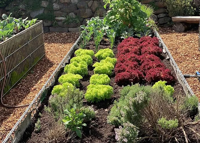 Harmony House * Handewitt